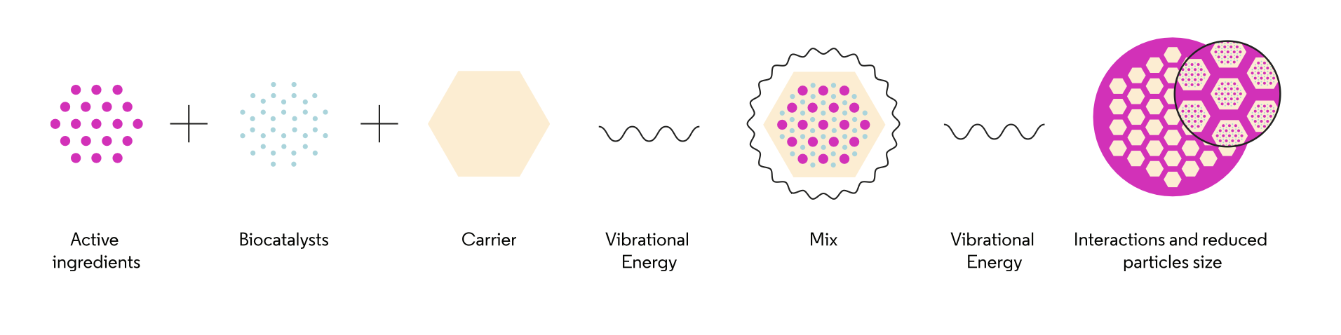 Processo biotech: Principi attivi + Biocatalizzatori + Carrier → Mix → Interazione e riduzione particelle
